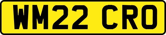WM22CRO