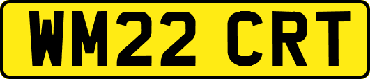WM22CRT