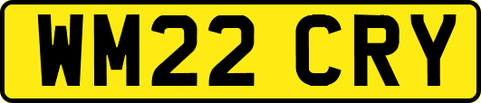 WM22CRY