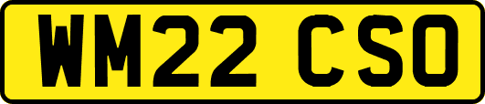 WM22CSO