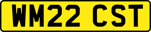 WM22CST