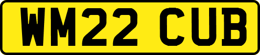 WM22CUB