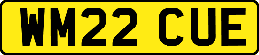 WM22CUE