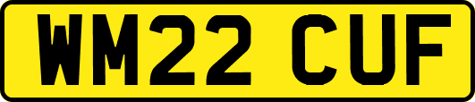 WM22CUF