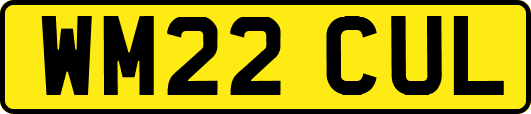 WM22CUL