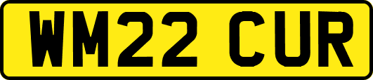 WM22CUR