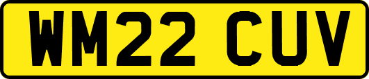WM22CUV