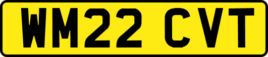 WM22CVT