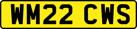 WM22CWS