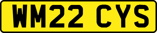 WM22CYS