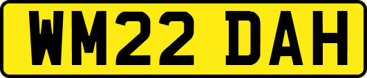 WM22DAH