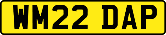 WM22DAP