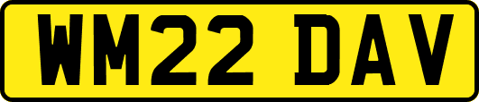 WM22DAV