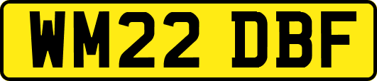 WM22DBF