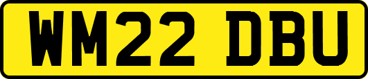 WM22DBU