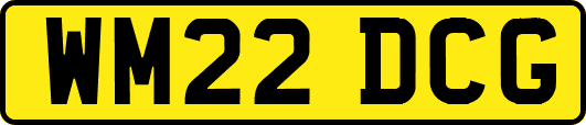 WM22DCG