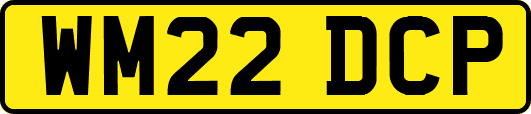 WM22DCP