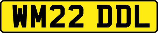 WM22DDL