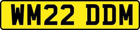 WM22DDM