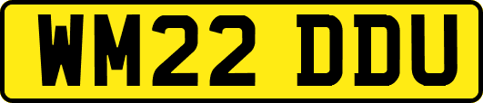 WM22DDU