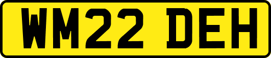 WM22DEH