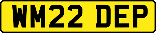 WM22DEP