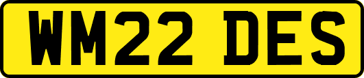 WM22DES