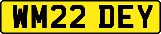 WM22DEY