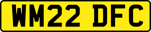 WM22DFC