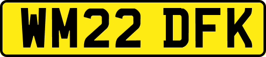 WM22DFK