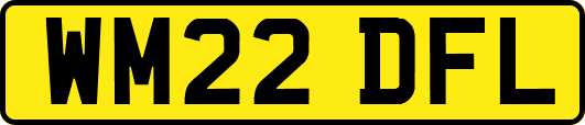 WM22DFL
