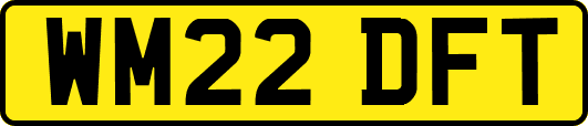 WM22DFT