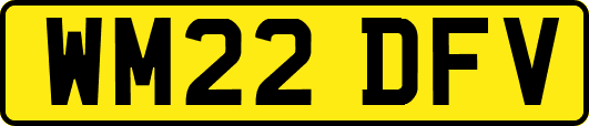 WM22DFV