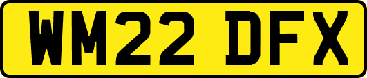 WM22DFX