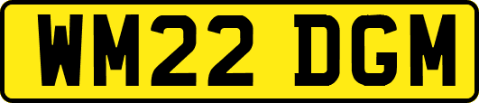 WM22DGM