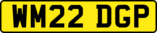 WM22DGP