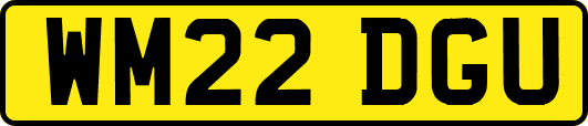 WM22DGU