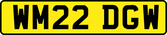 WM22DGW