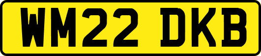 WM22DKB