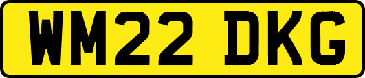 WM22DKG