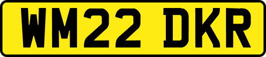 WM22DKR