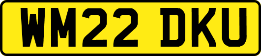 WM22DKU