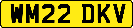 WM22DKV