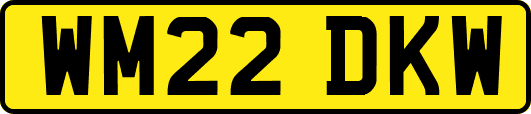 WM22DKW