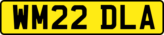 WM22DLA