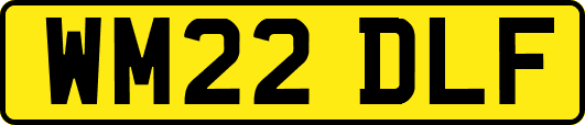 WM22DLF
