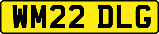 WM22DLG