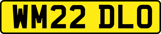 WM22DLO