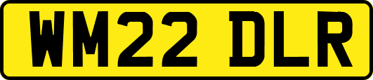 WM22DLR