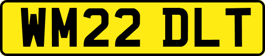 WM22DLT